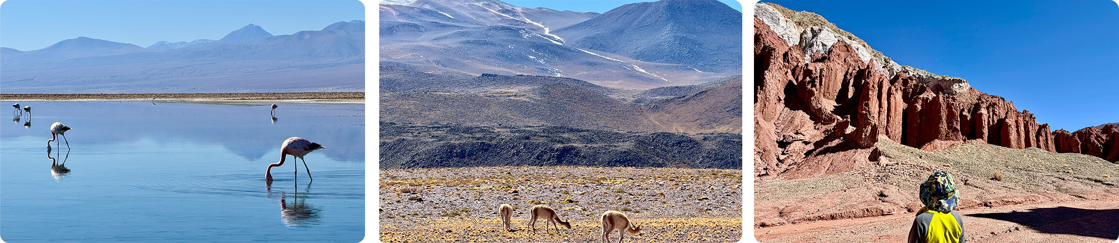 atacama